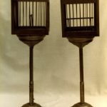 Bird and cage transposition