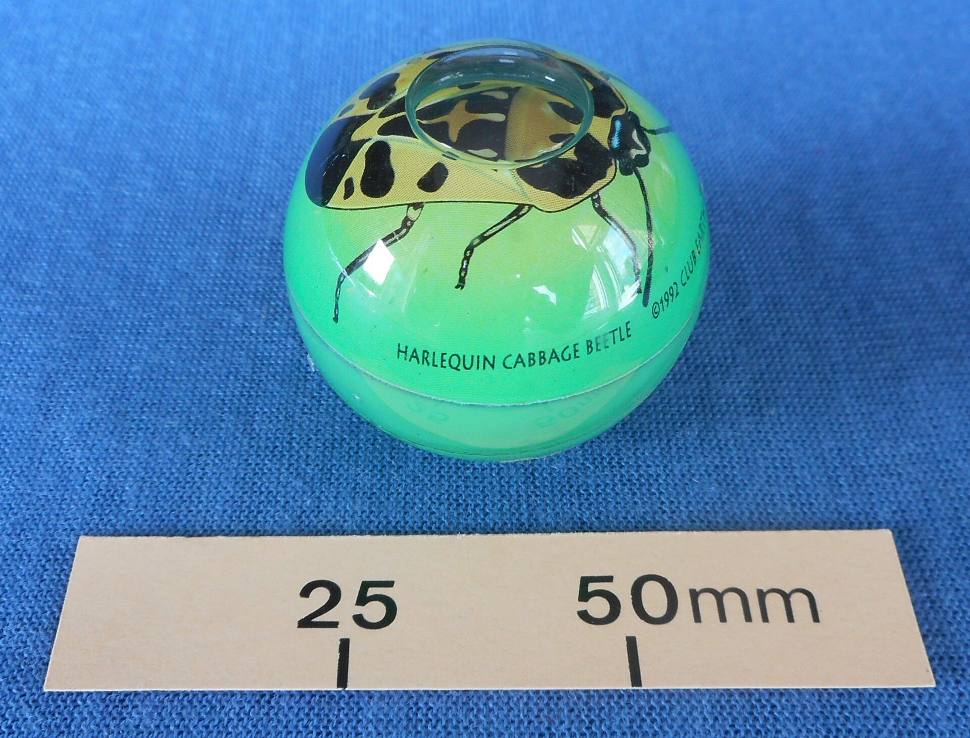 Novelty plastic ball – the beetle stays on top when you roll the ball