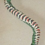 Top hat for snake production
