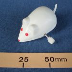 Plastic wind up mouse, made in China