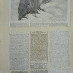 Items relating to Albert Smith including his ‘Ascent of Mont Blanc’ at the Egyptian Hall