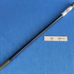 Evanion’s magic wand
