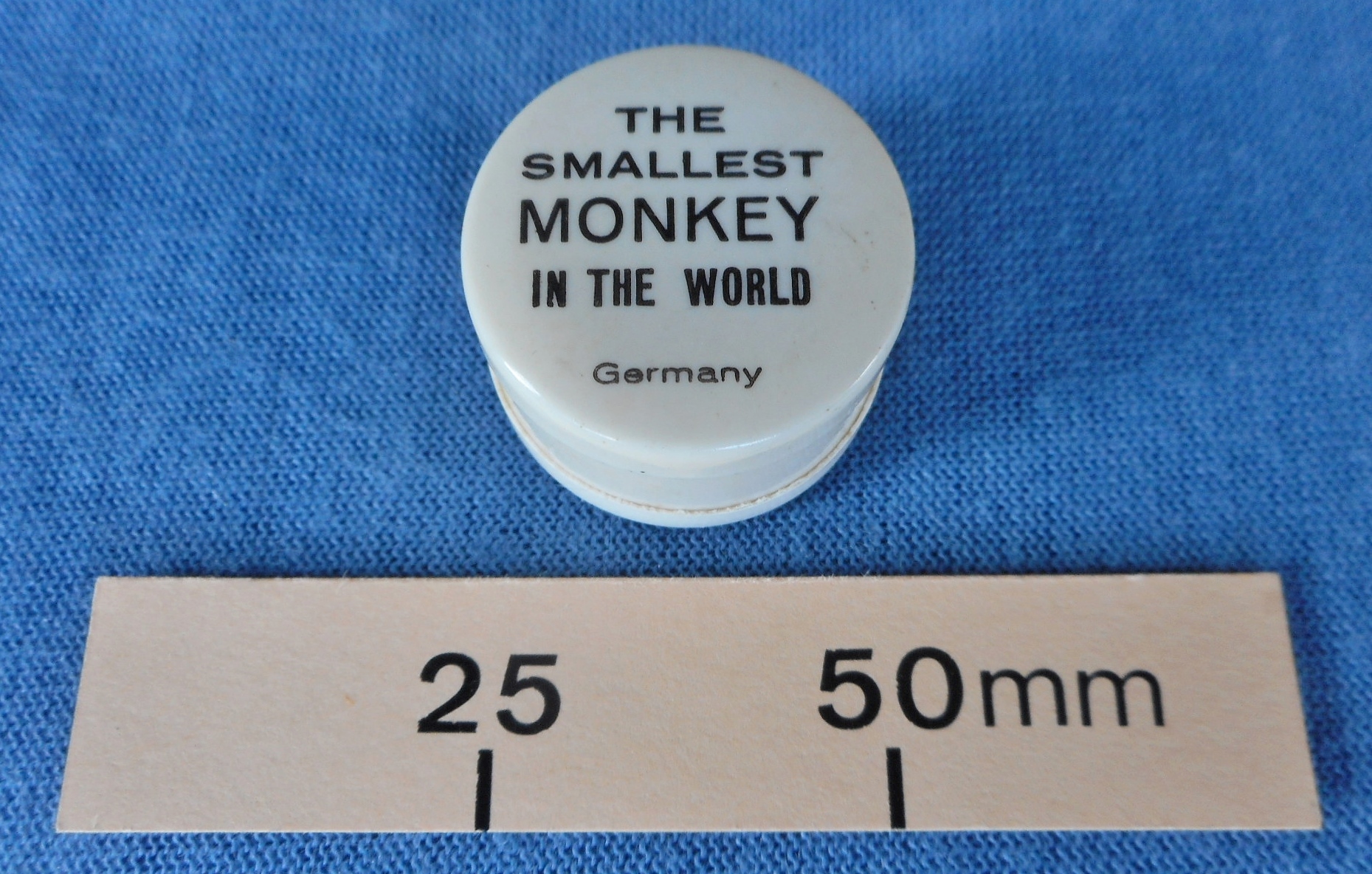 The smallest and largest monkeys in the world