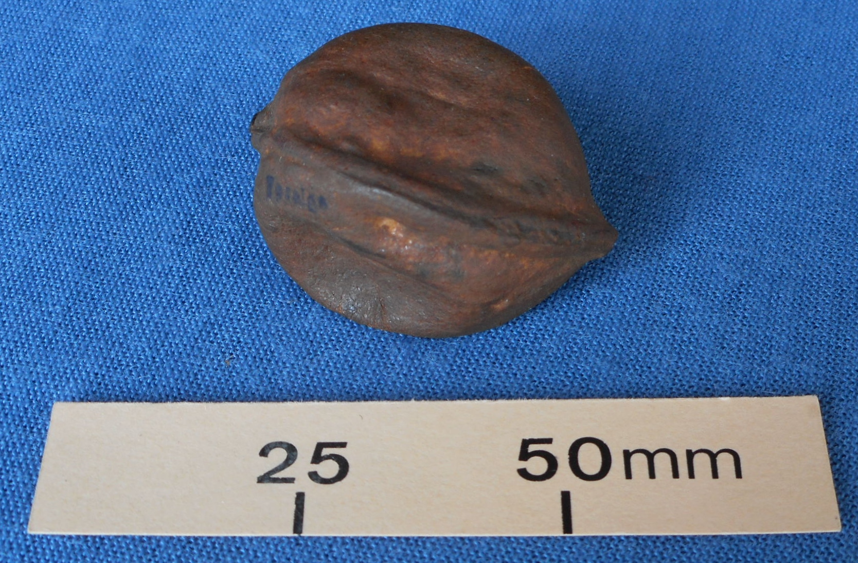 The Musical Walnut joke