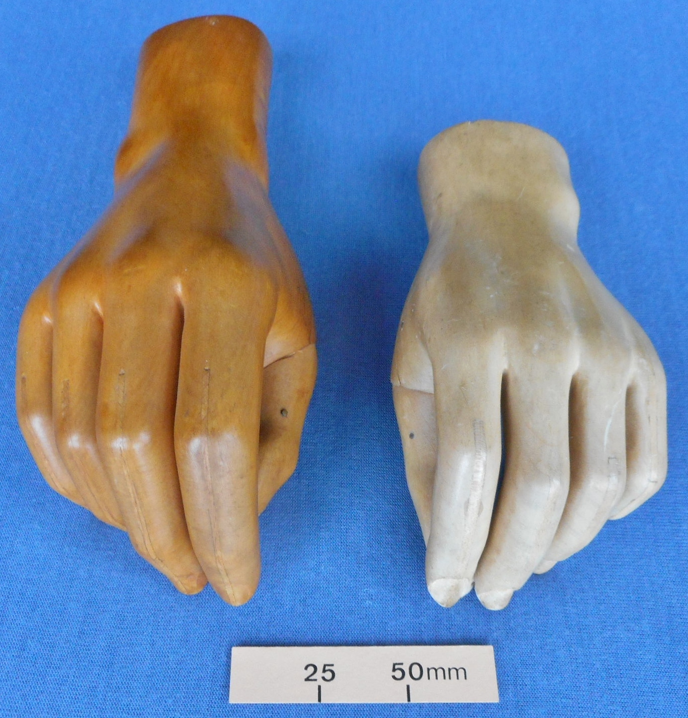 Two wooden life-size hands with articulated thumbs