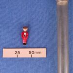 “The Magic Wand” or “The Mystery Diver”