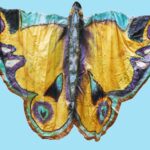 Arnold De Biere’s silk butterfly production