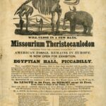 Last few days of Missourium Theristocaulodon at the Egyptian Hall, 1843