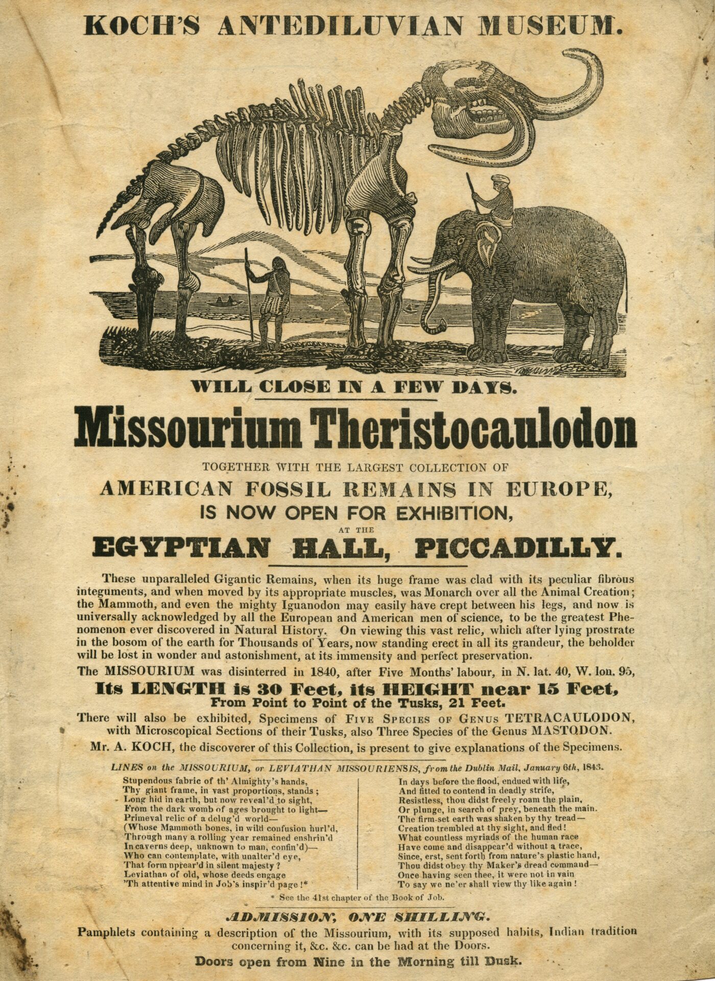 Last few days of Missourium Theristocaulodon at the Egyptian Hall, 1843