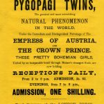 The Pygopagi Twins at the Egyptian Hall, 1880