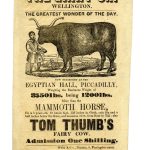 Flier for The Giant Ox ‘Wellington’ at the Egyptian Hall