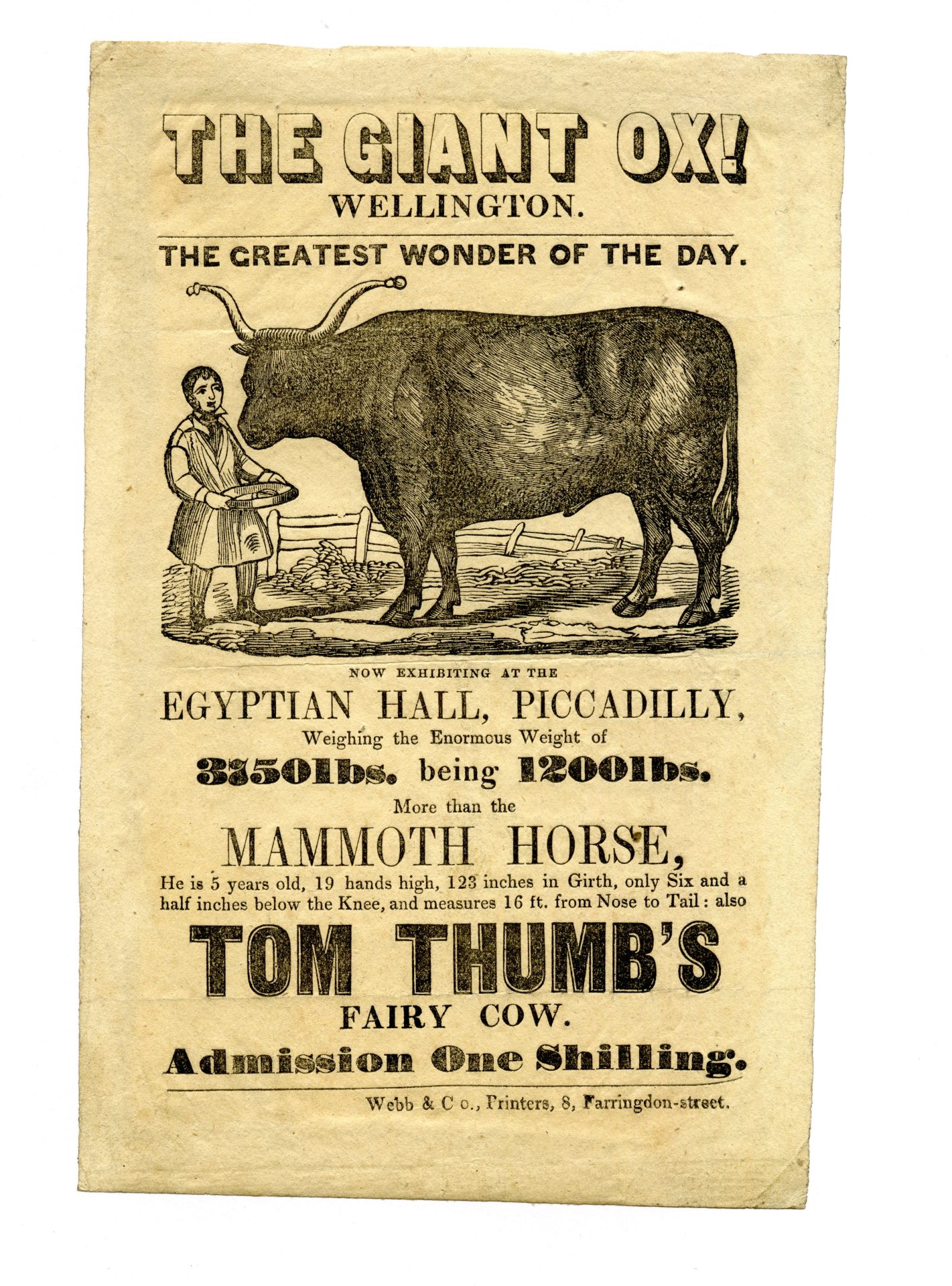 Flier for The Giant Ox ‘Wellington’ at the Egyptian Hall